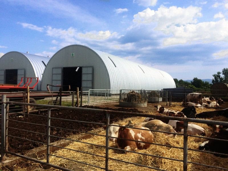 Montované ocelové obloukové zemědělské haly využívané pro chov skotu a skladování krmiva, moderní farma s hospodářskými zvířaty, realizace HUPRO SYSTEMS SE.