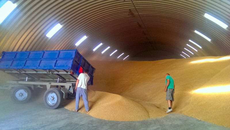 Skladování obilí uvnitř ocelové obloukové zemědělské haly, nakládka pomocí traktoru s modrým přívěsem, realizace HUPRO SYSTEMS SE.