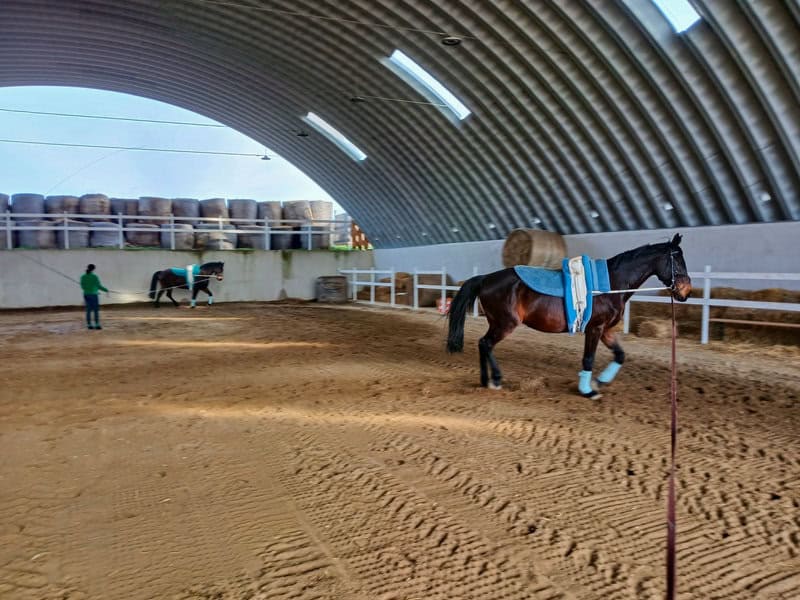 Ocelová montovaní oblouková jízdarna pro koně, interiér se dvěma koňmi při lonžování na pískovém povrchu, s balíky sena v pozadí. Realizace HUPRO SYSTEMS SE.