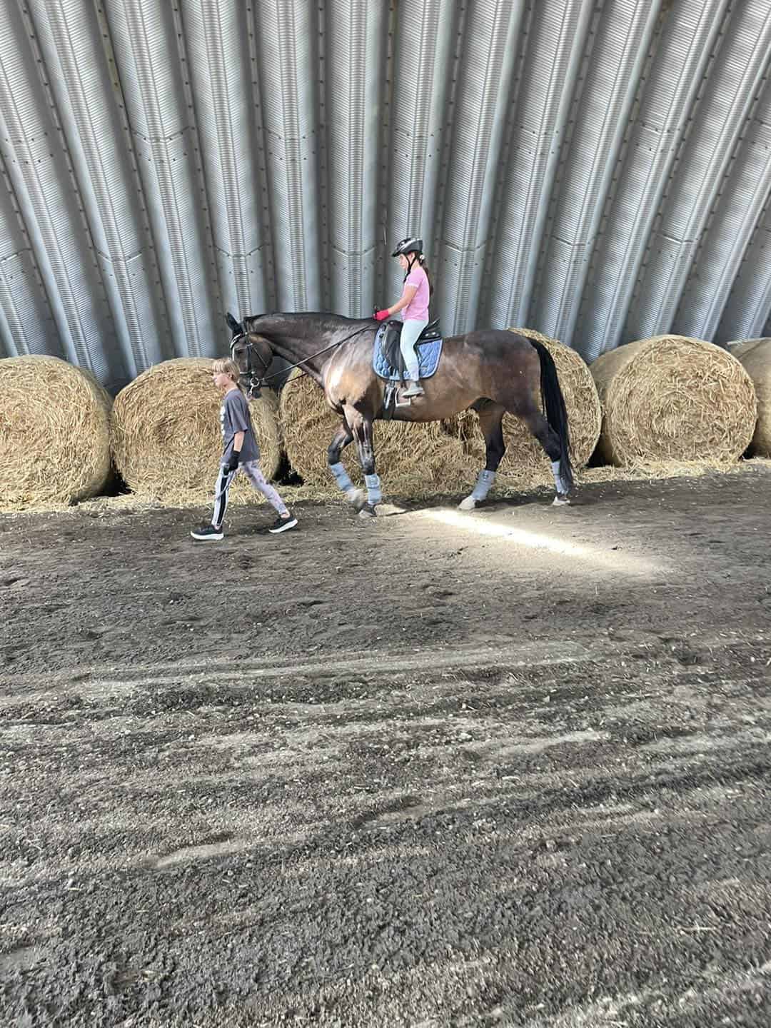 Výcvik dítěte na koni v jízdárně v Břeclavi s pozadím ze stěn obloukové ocelové haly a balíků sena. Realizace HUPRO SYSTEMS SE.