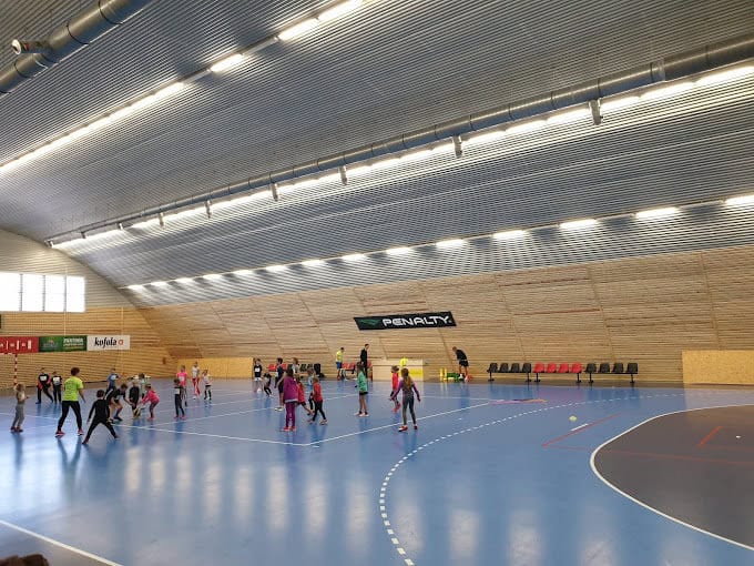 Děti při tréninku ve víceúčelové sportovní hale v Brně-Maloměřicích s modrým povrchem a dřevěným obložením stěn, halu zrealizovala společnost HUPRO SYSTEMS SE.